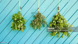 成都桑拿按摩专业教程:提升按摩技巧,享受身心放松